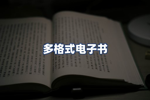 多格式电子书